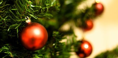 dsogouodcelin6egrja2